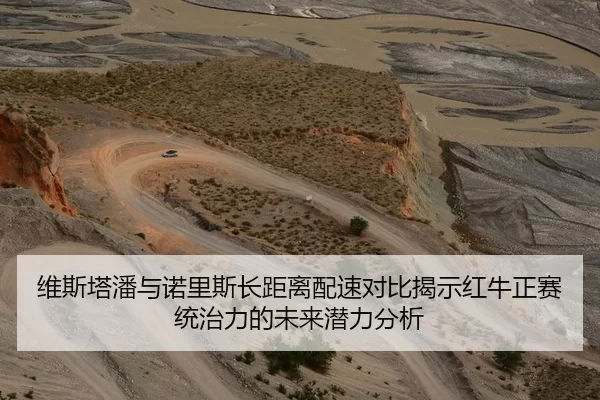 维斯塔潘与诺里斯长距离配速对比揭示红牛正赛统治力的未来潜力分析