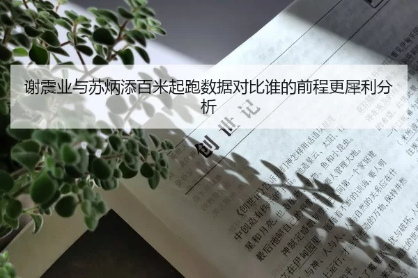 谢震业与苏炳添百米起跑数据对比谁的前程更犀利分析