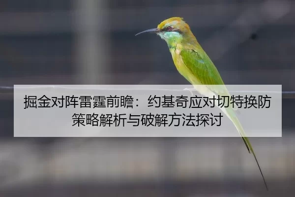 掘金对阵雷霆前瞻：约基奇应对切特换防策略解析与破解方法探讨