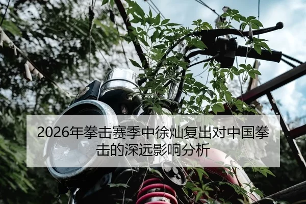 2026年拳击赛季中徐灿复出对中国拳击的深远影响分析