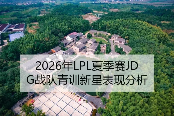 2026年LPL夏季赛JDG战队青训新星表现分析