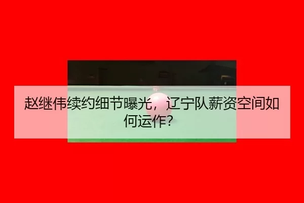 zhao-ji-wei-xu-yue-xi-jie-bao-guang-liao-ning-dui-xin-zi-kong-jian-ru-he-yun-zuo-2-919.jpg