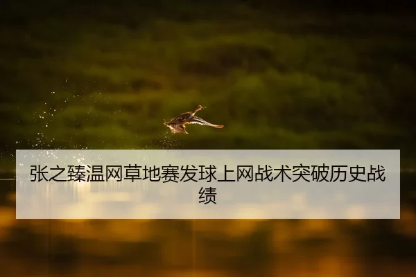 张之臻温网草地赛发球上网战术突破历史战绩