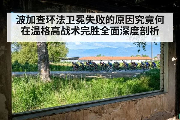 波加查环法卫冕失败的原因究竟何在温格高战术完胜全面深度剖析